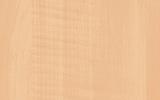 Sanibel Maple- Self Adhesive 2 x 8
